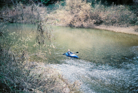 [A person with an oar held across a blue kayak is coming down the river toward the camera. The river has a brown tinge.]